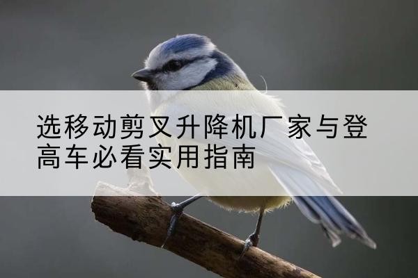 安庆电动升降机厂家-选移动剪叉升降机厂家与登高车必看实用指南