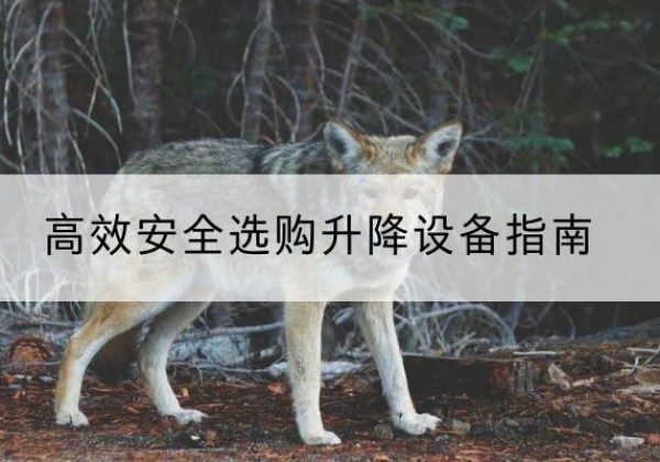 安庆升降货梯厂家推荐-*安全选购升降设备指南